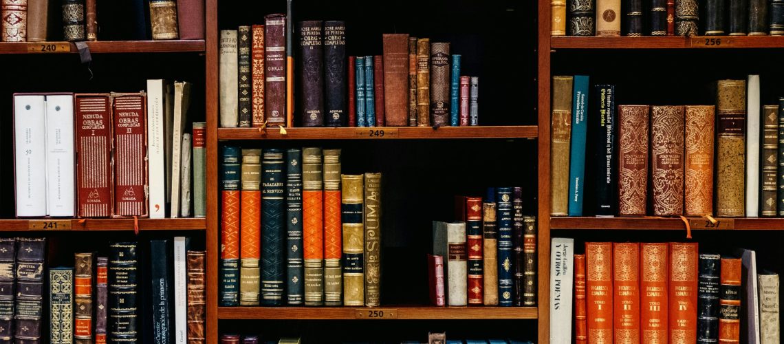 inaki-del-olmo-NIJuEQw0RKg-unsplash